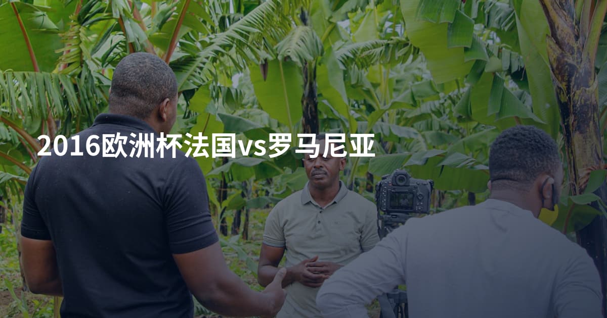 2016欧洲杯法国vs罗马尼亚