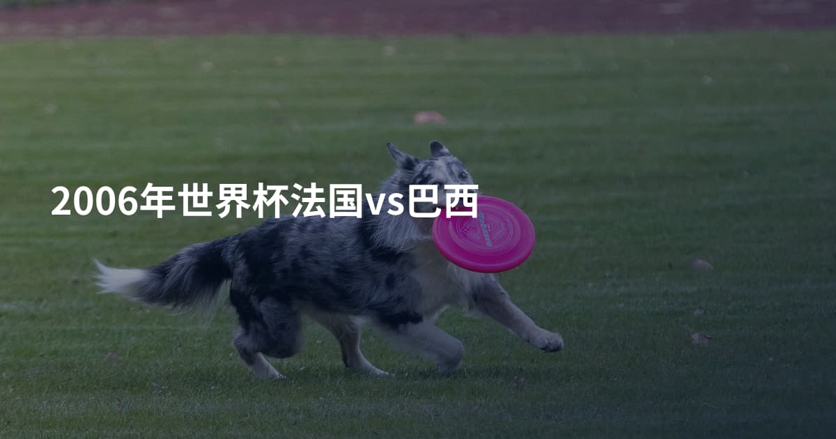 2006年世界杯法国vs巴西