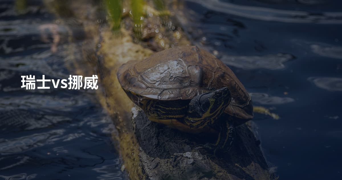 瑞士vs挪威