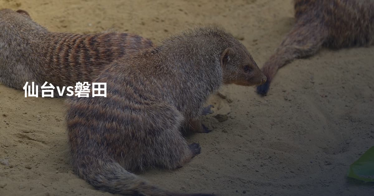 仙台vs磐田