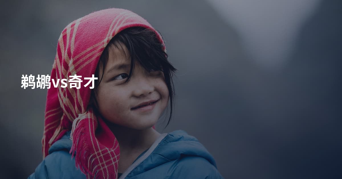 鹈鹕vs奇才