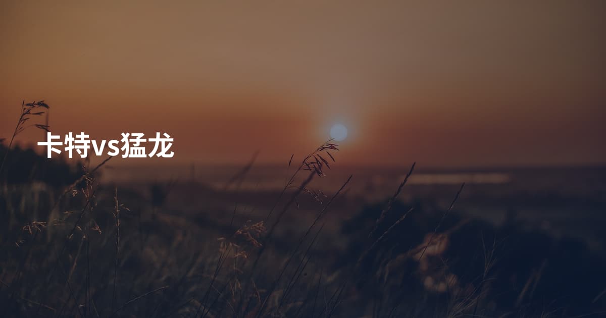 卡特vs猛龙