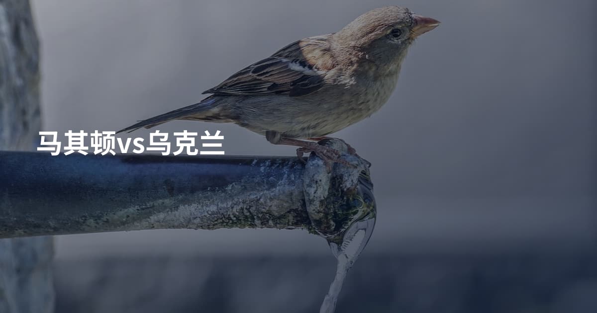 马其顿vs乌克兰