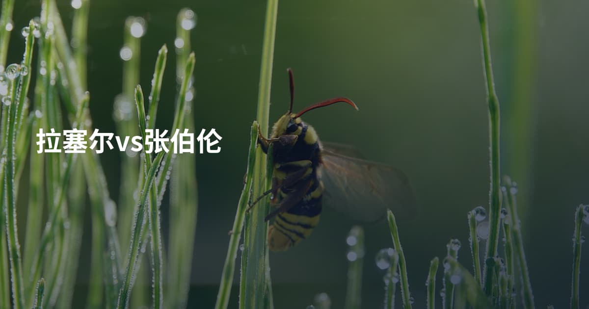 拉塞尔vs张伯伦