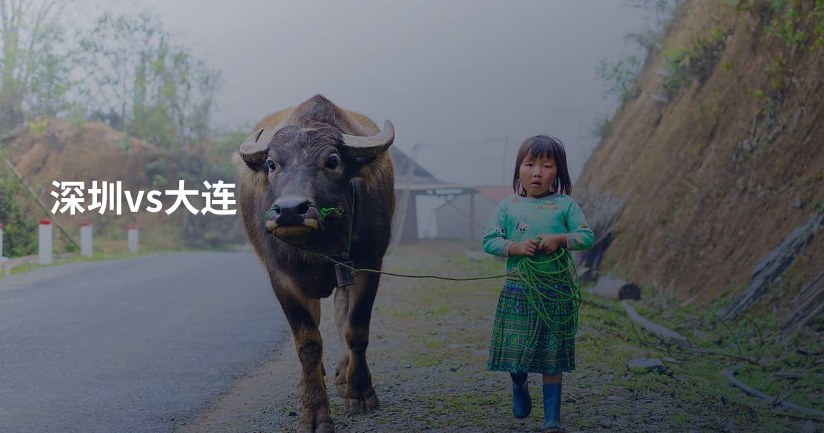 深圳vs大连
