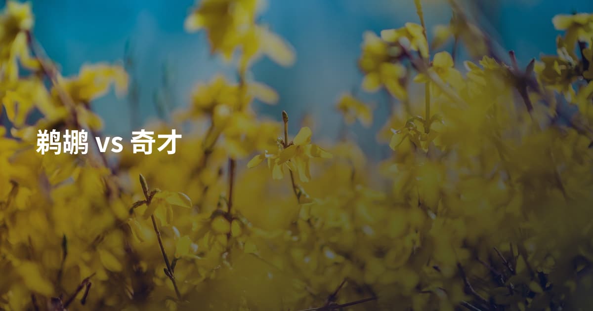 鹈鹕 vs 奇才