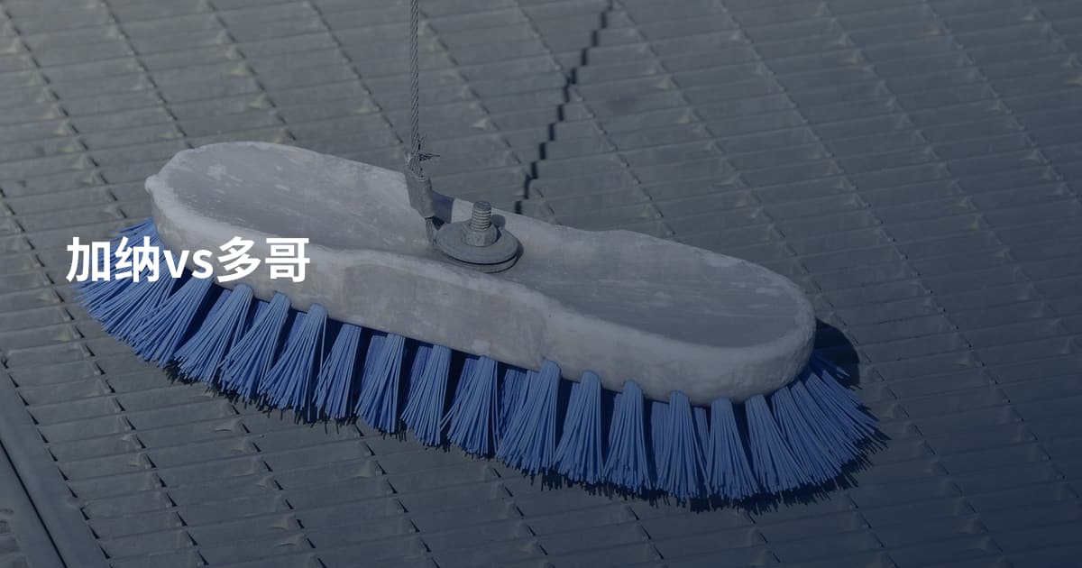 加纳vs多哥