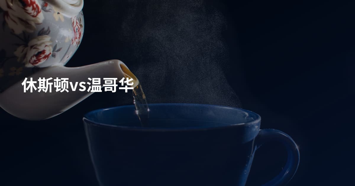 休斯顿vs温哥华