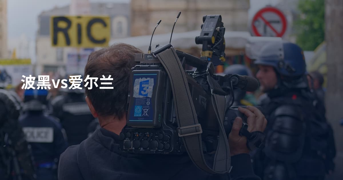 波黑vs爱尔兰