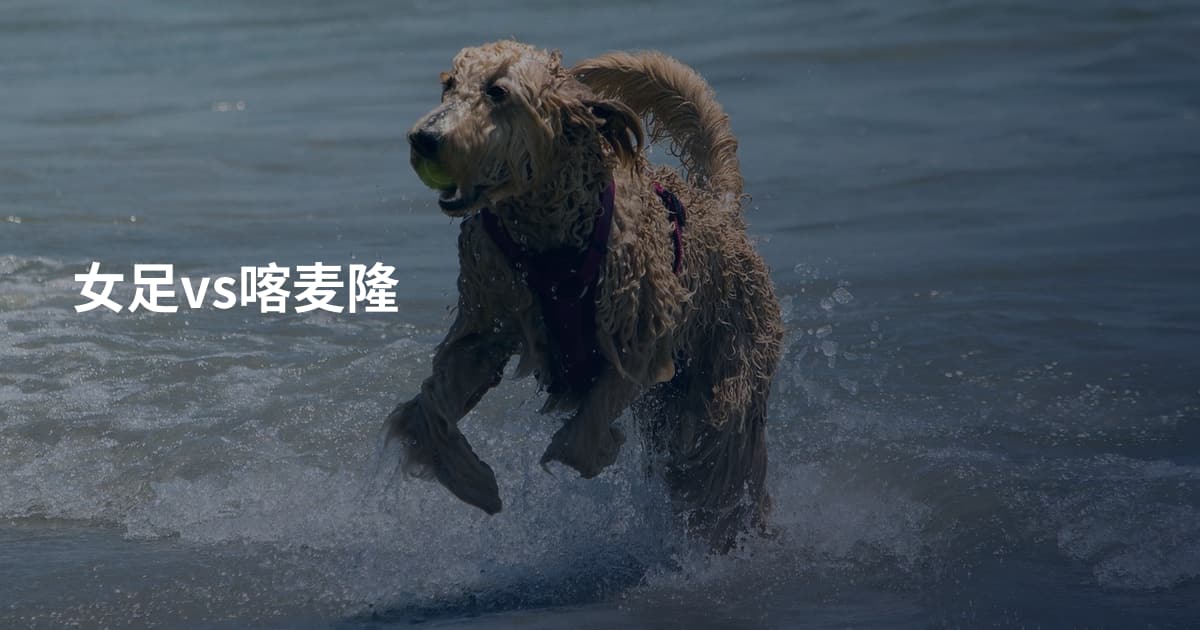 女足vs喀麦隆