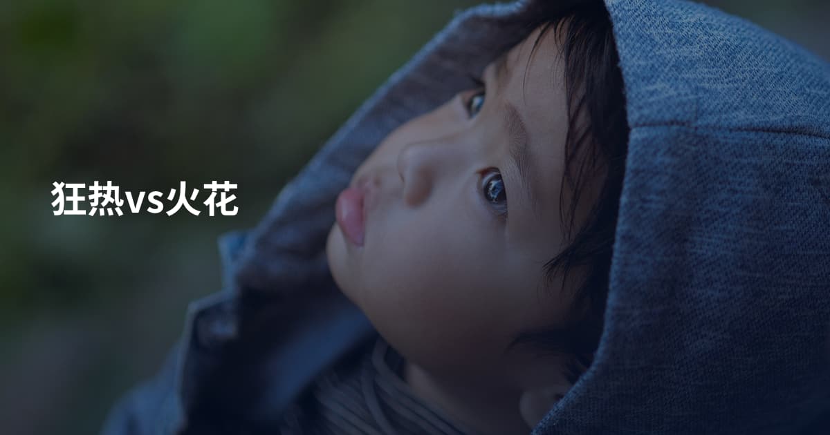 狂热vs火花