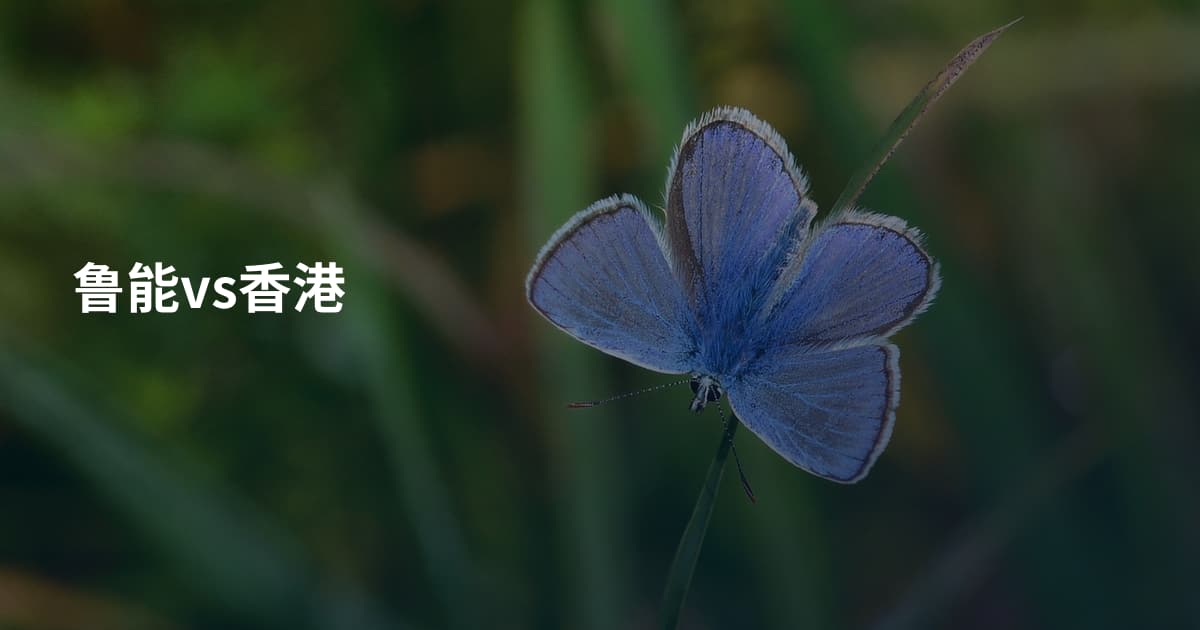 鲁能vs香港