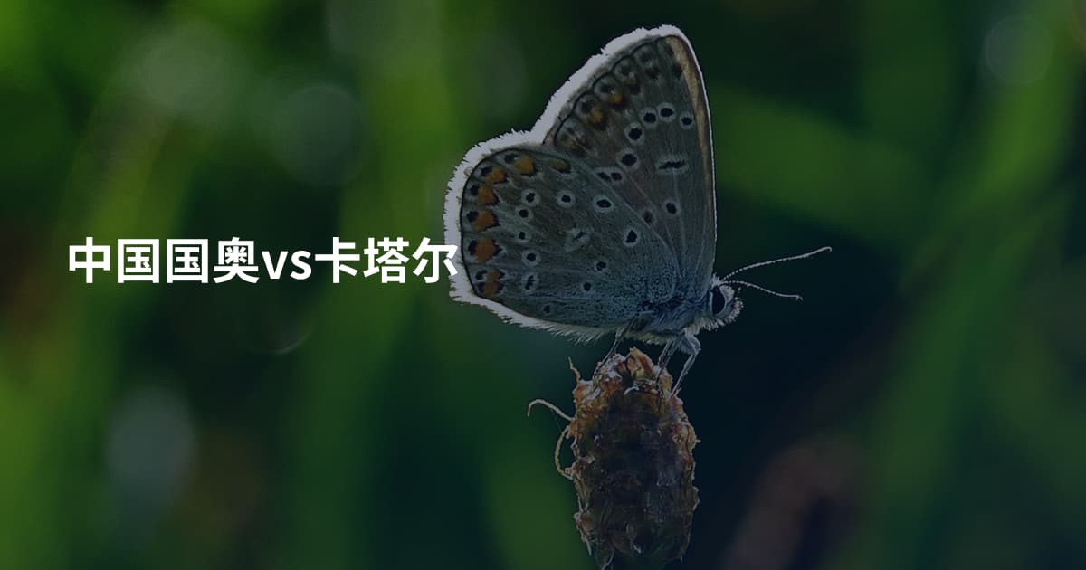 中国国奥vs卡塔尔