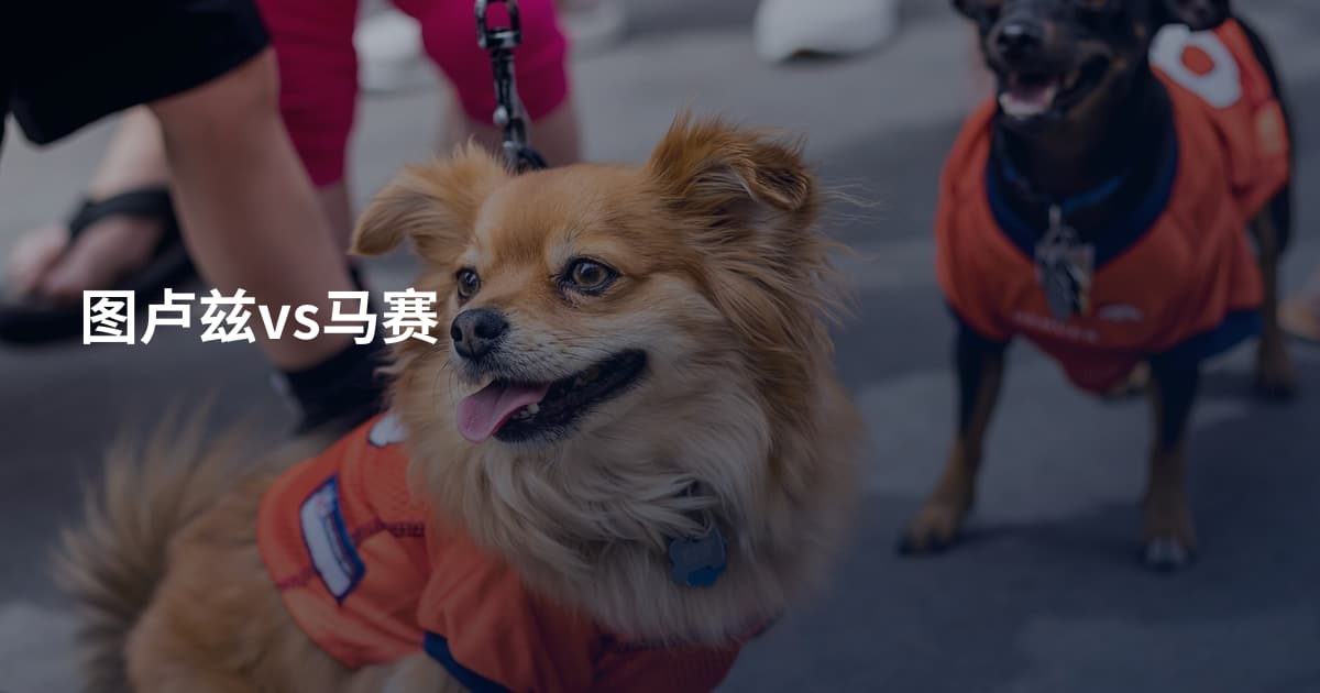 图卢兹vs马赛
