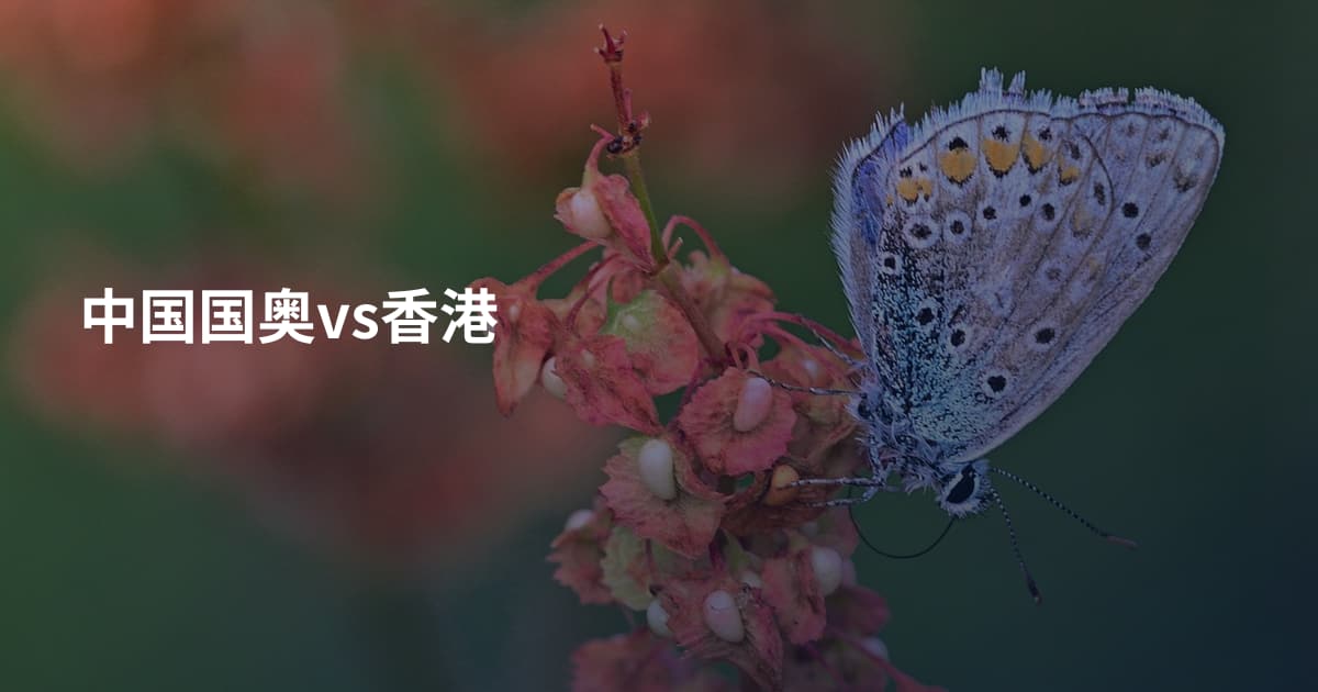 中国国奥vs香港