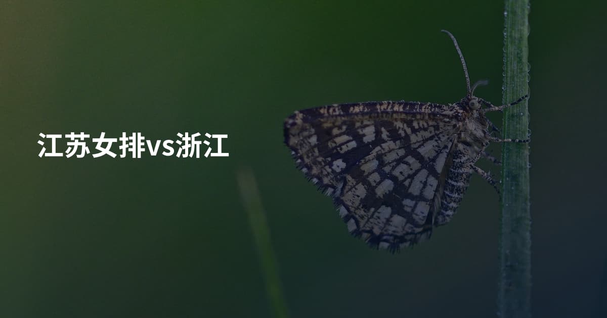 江苏女排vs浙江