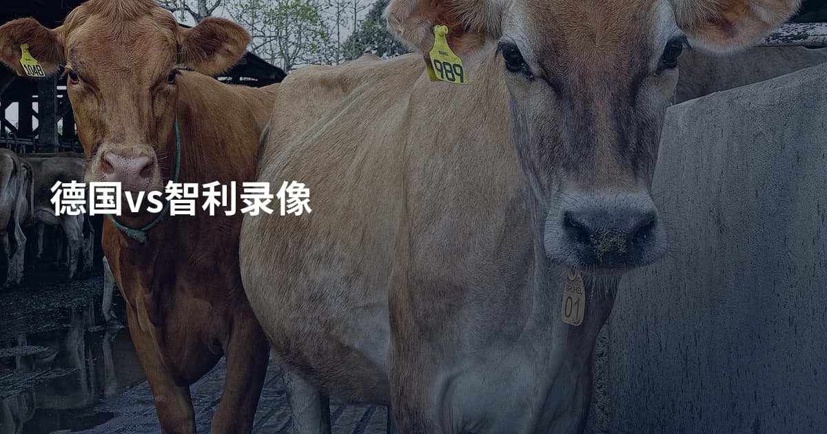 德国vs智利录像