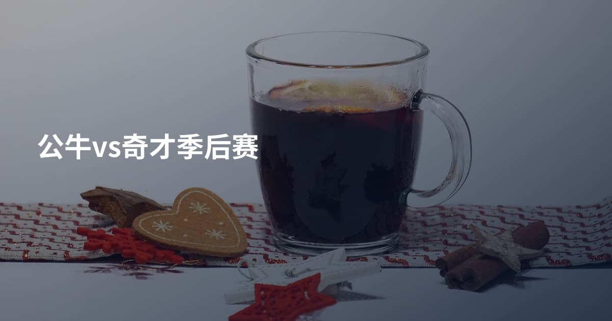 公牛vs奇才季后赛