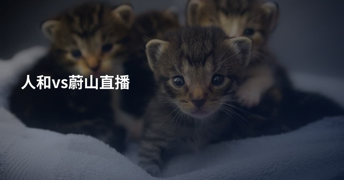 人和vs蔚山直播