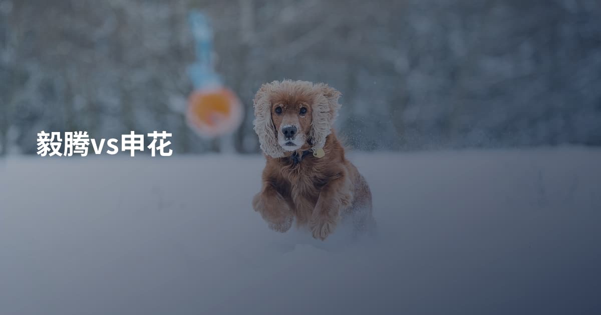 毅腾vs申花