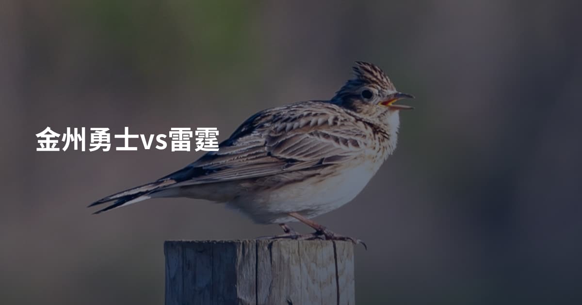 金州勇士vs雷霆