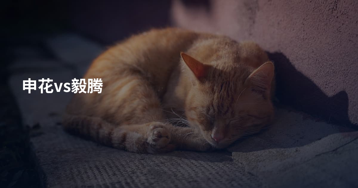 申花vs毅腾