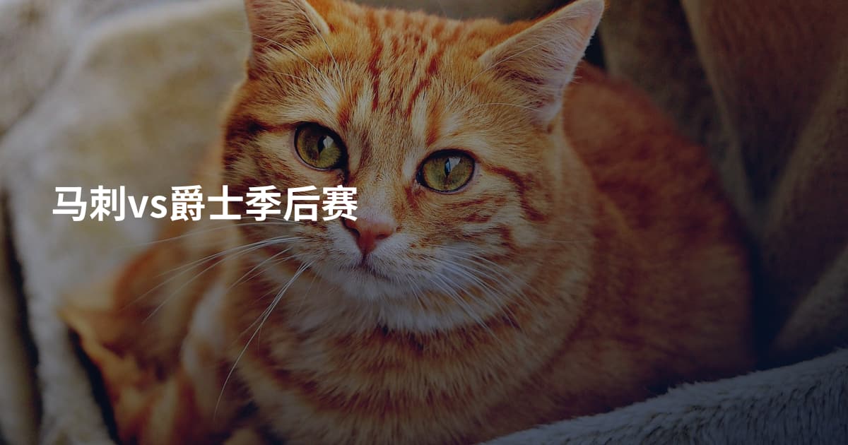 马刺vs爵士季后赛