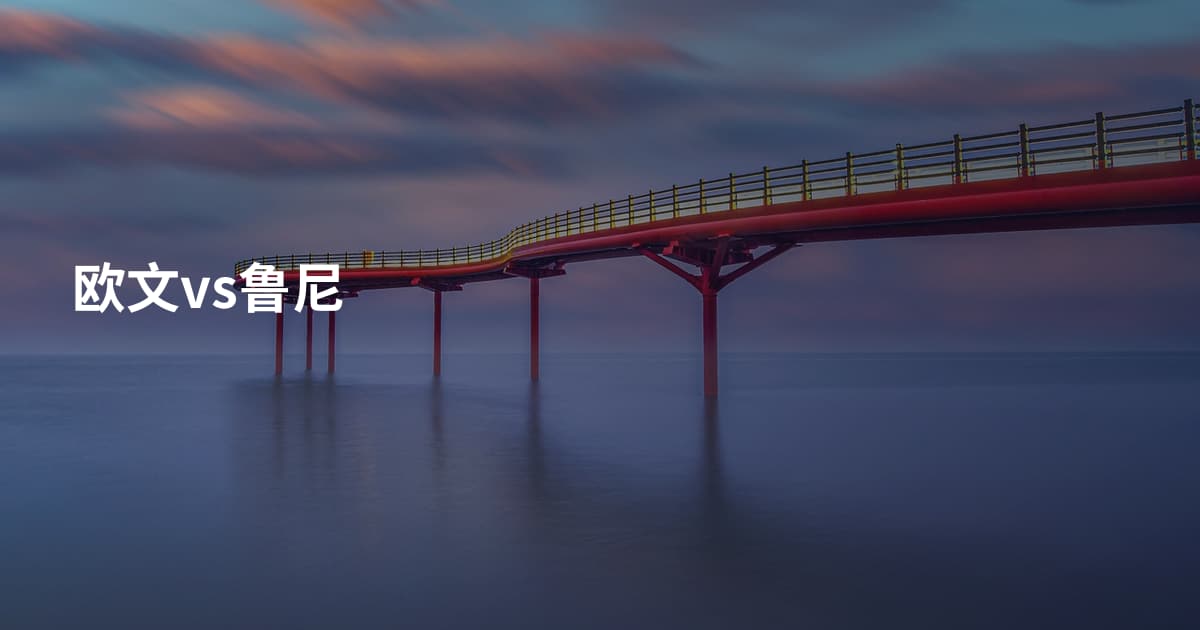 欧文vs鲁尼