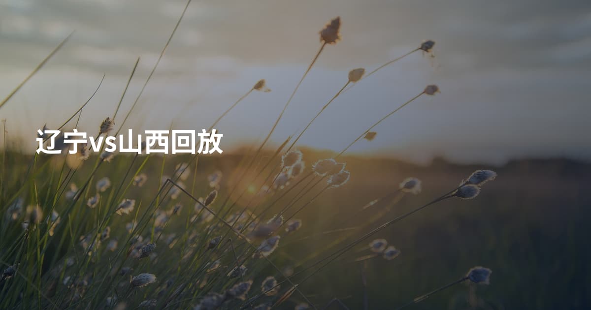 辽宁vs山西回放