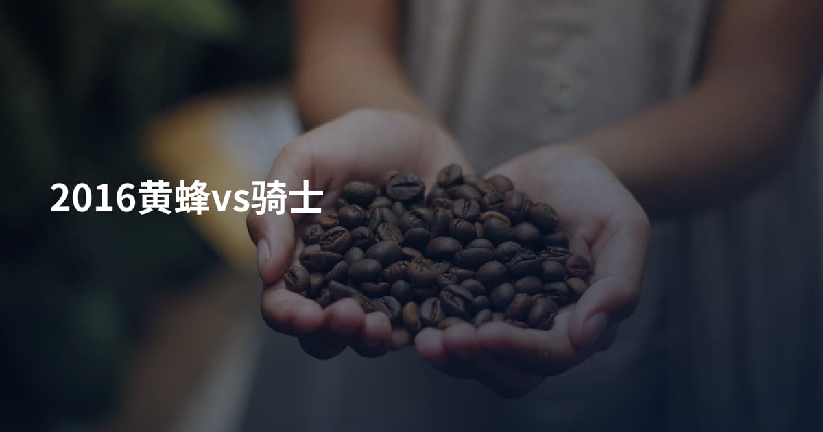 2016黄蜂vs骑士