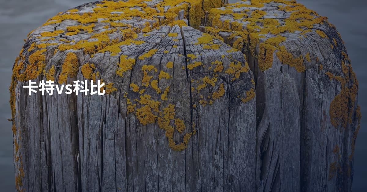 卡特vs科比