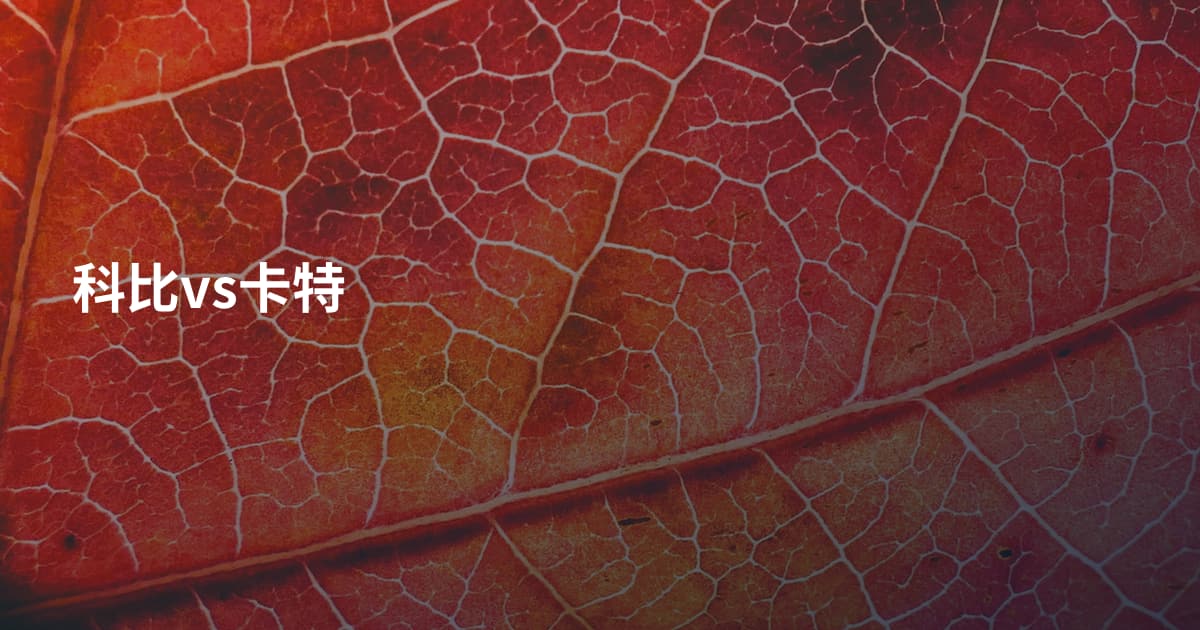 科比vs卡特