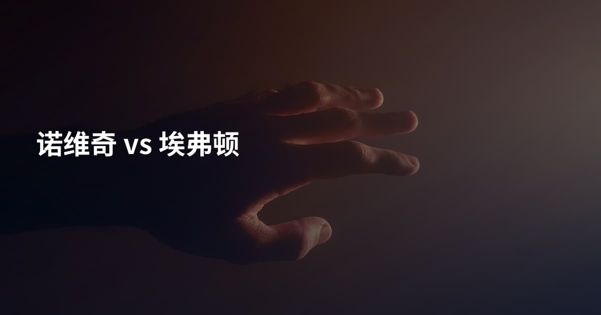 诺维奇 vs 埃弗顿