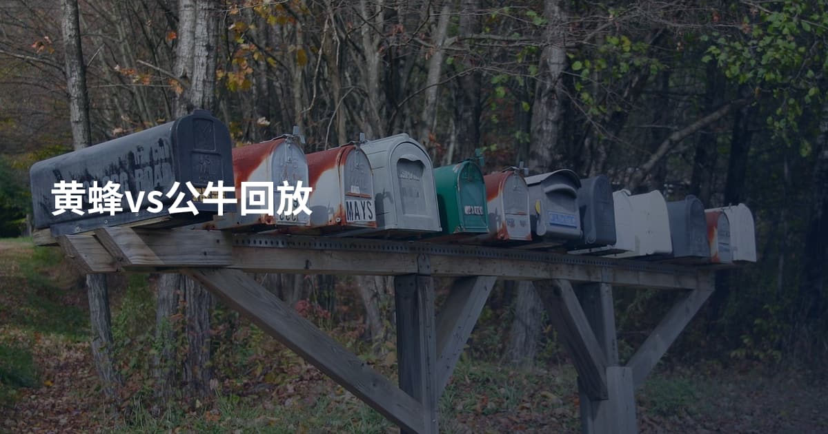 黄蜂vs公牛回放