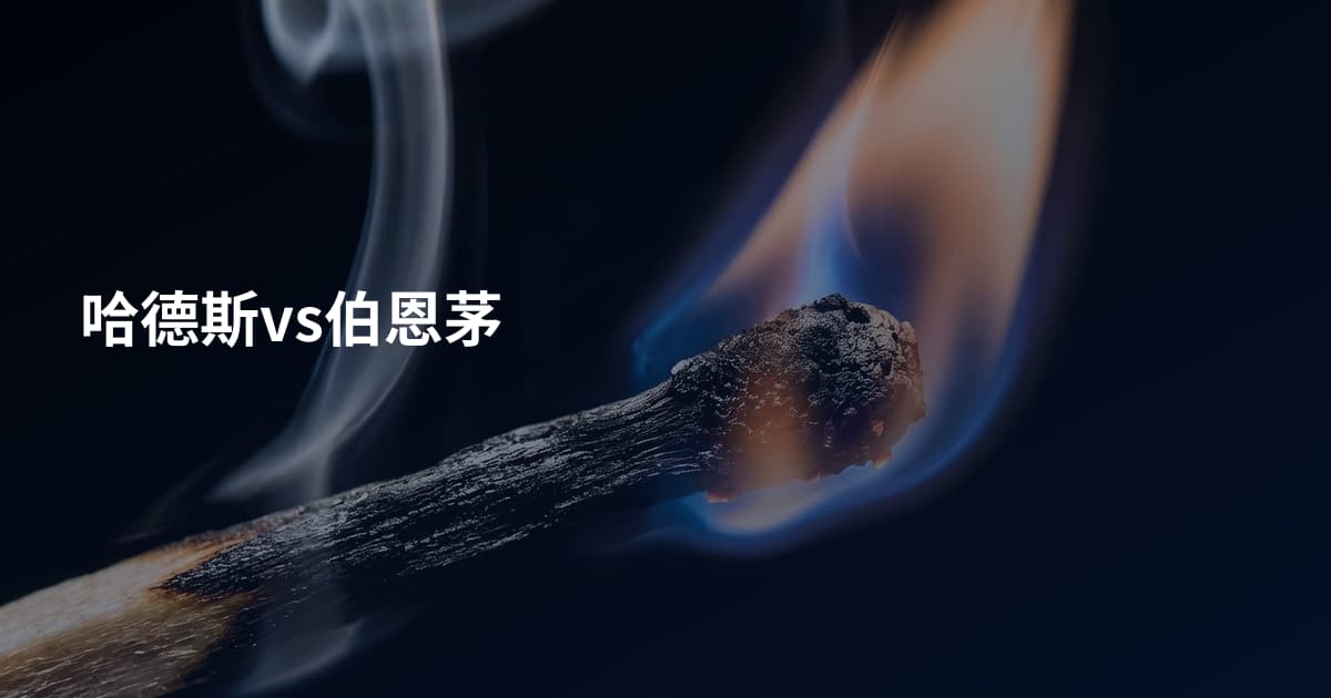 哈德斯vs伯恩茅