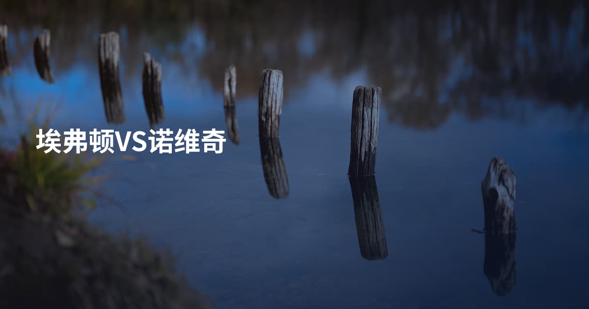 埃弗顿VS诺维奇