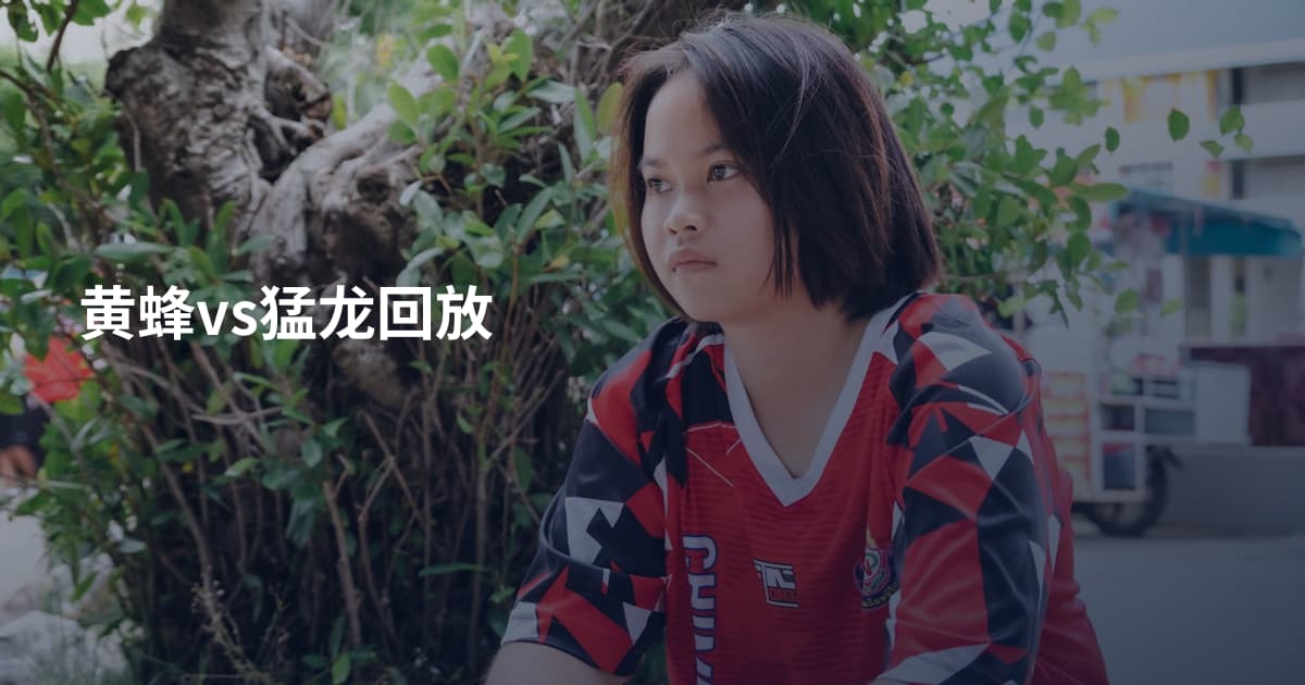黄蜂vs猛龙回放
