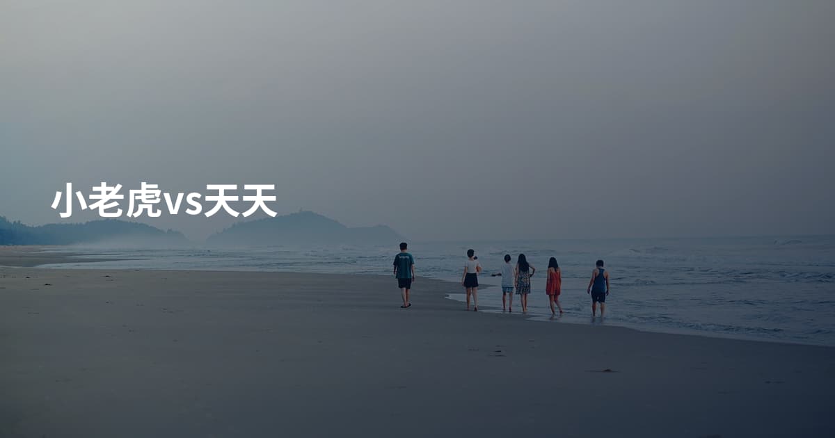 小老虎vs天天