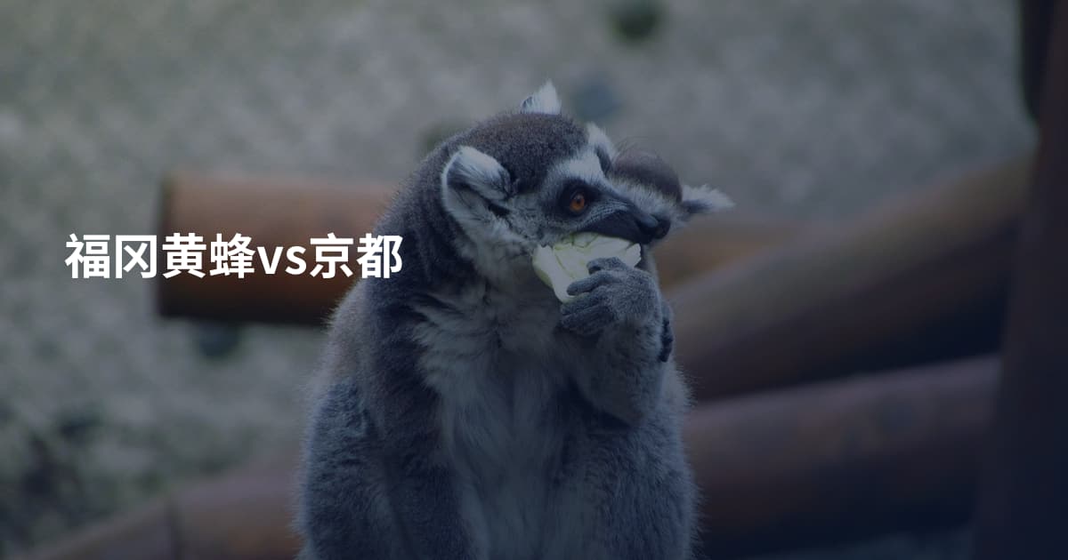 福冈黄蜂vs京都