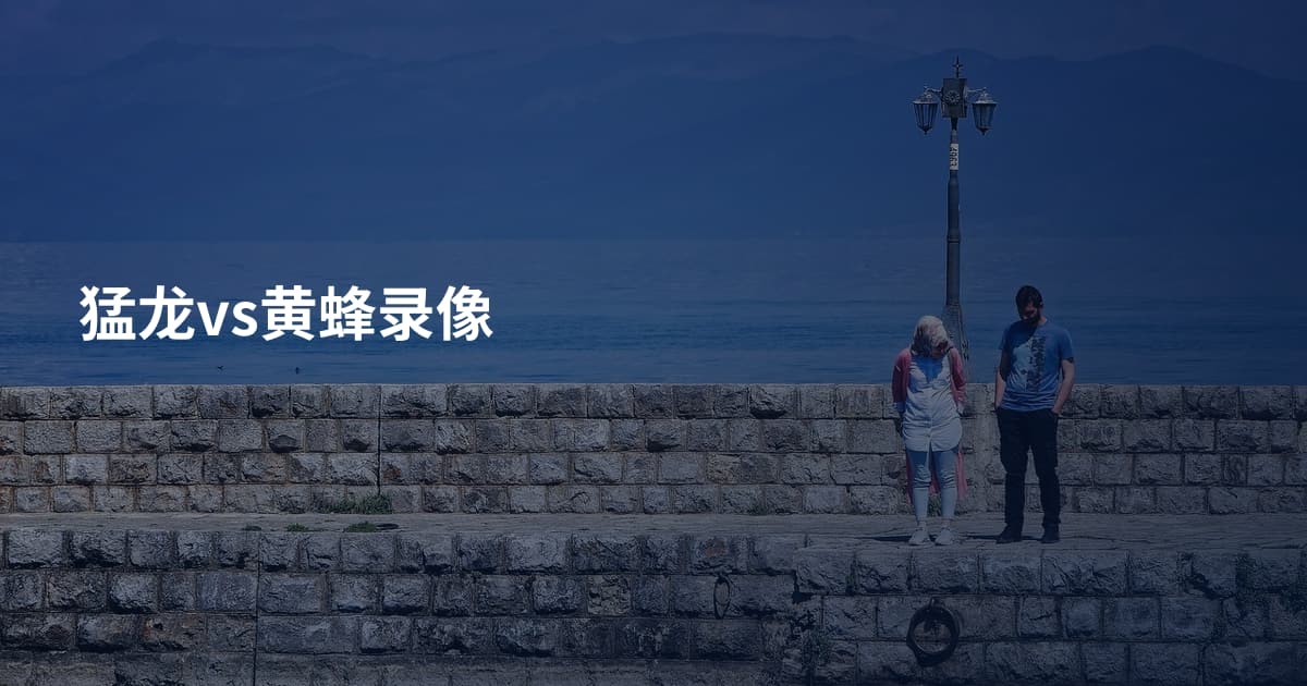 猛龙vs黄蜂录像