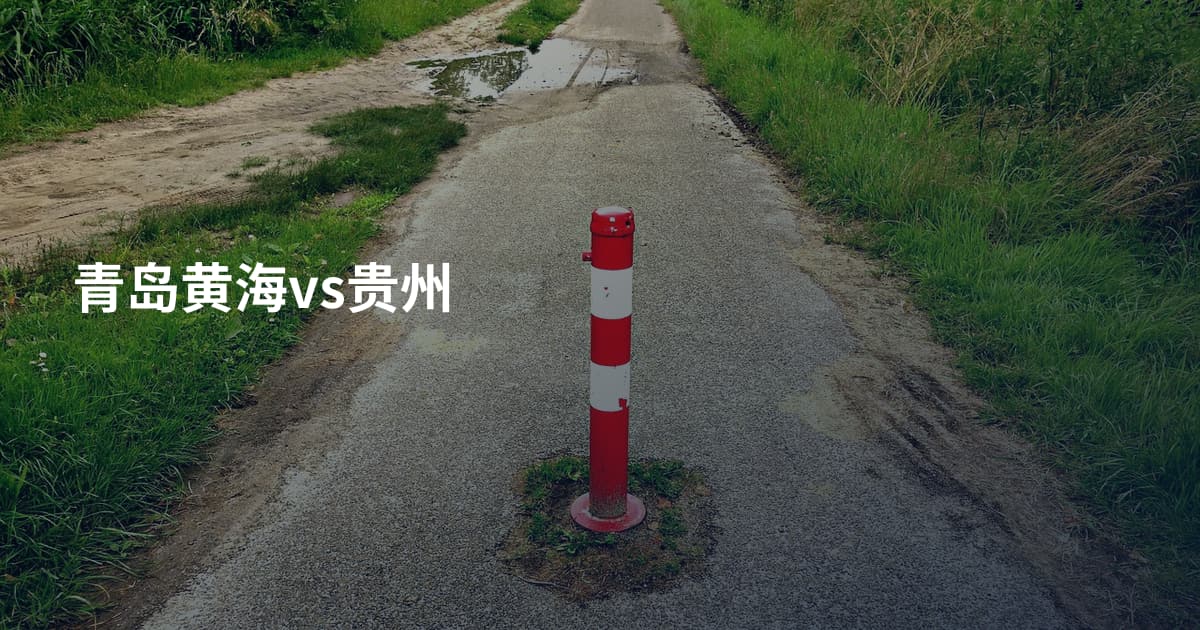 青岛黄海vs贵州