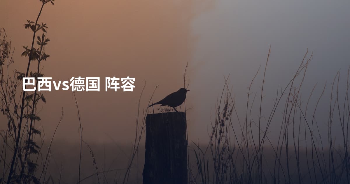 巴西vs德国 阵容