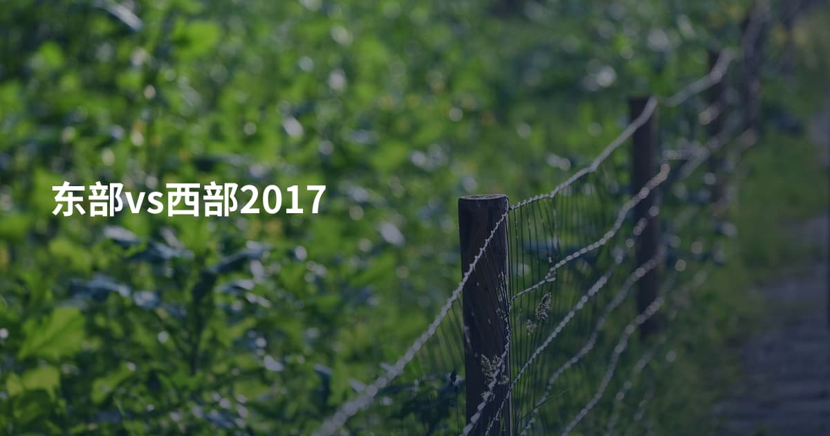 东部vs西部2017