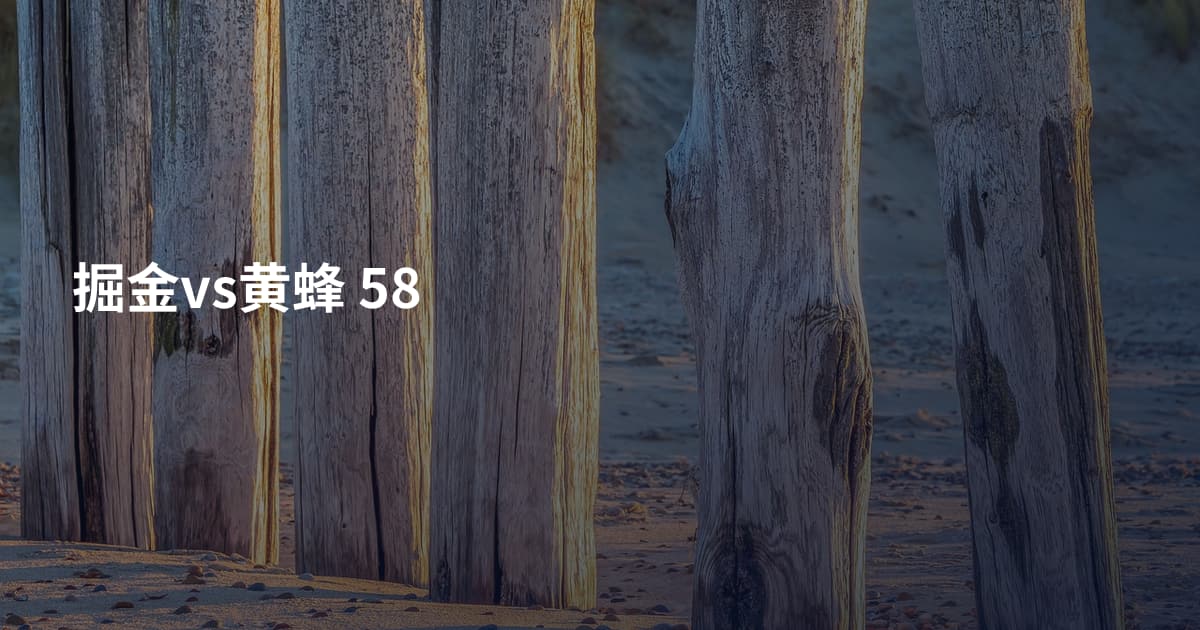 掘金vs黄蜂 58
