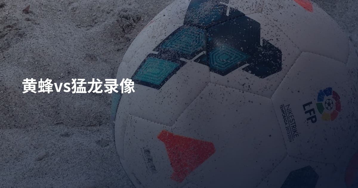 黄蜂vs猛龙录像