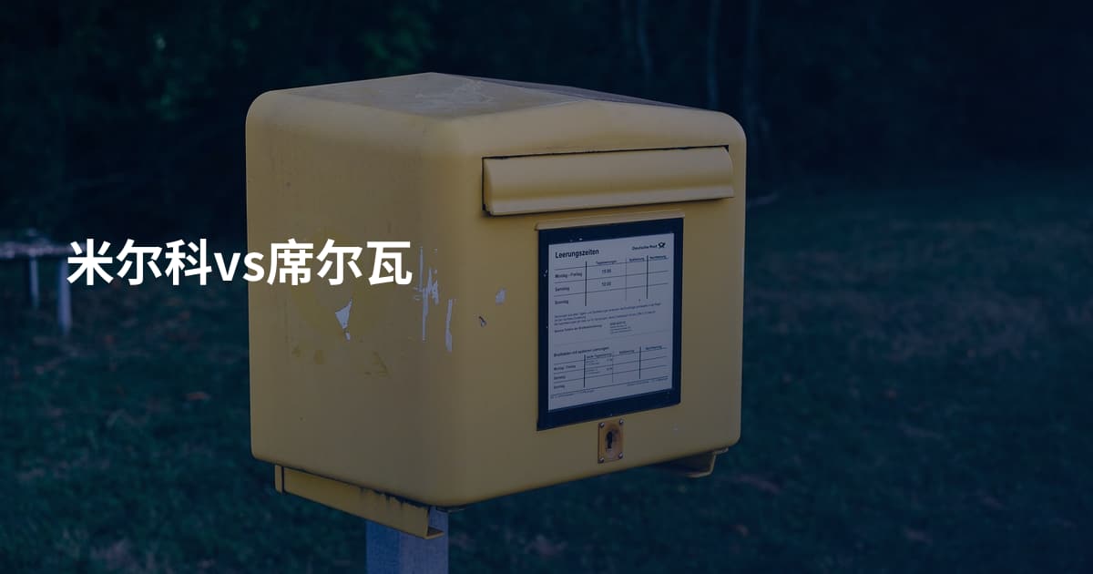 米尔科vs席尔瓦