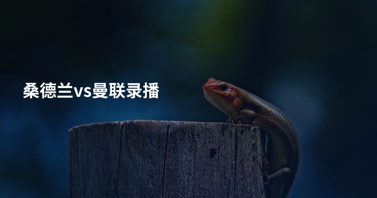 桑德兰vs曼联录播