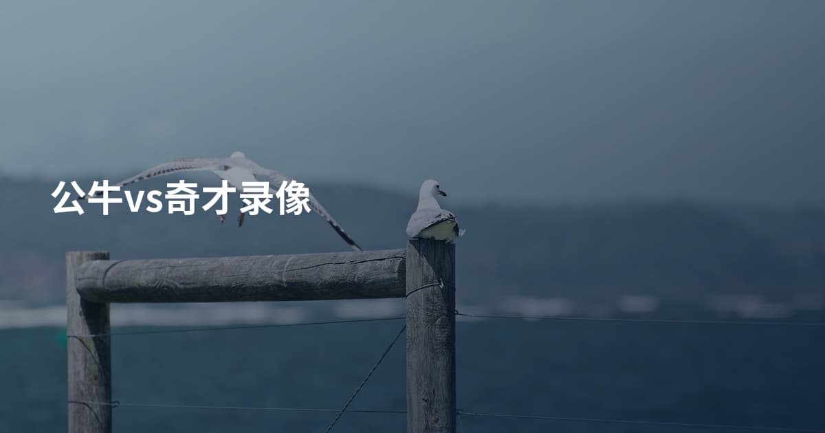 公牛vs奇才录像