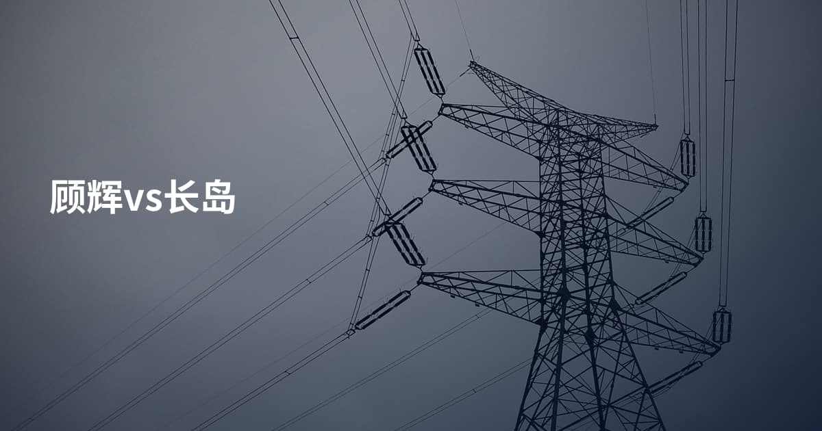 顾辉vs长岛