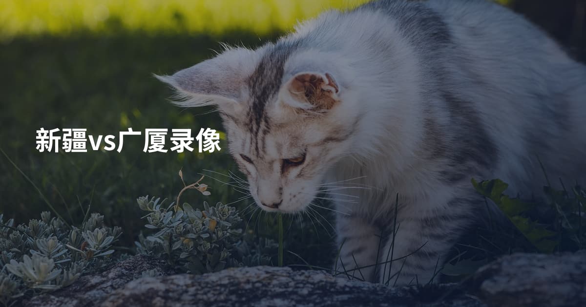 新疆vs广厦录像